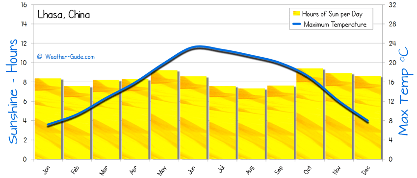 Lhasa Sunshine sun
